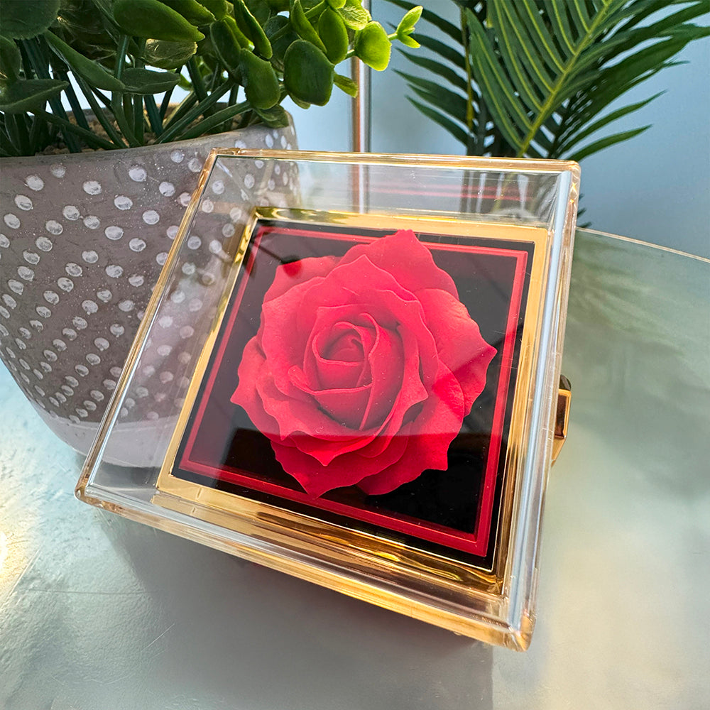 To Our Amazing Anniversary – Necklace Gift Set
